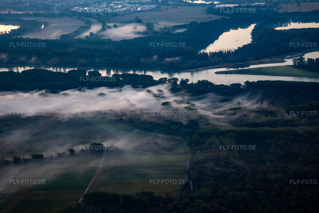 Luftbild: Altrhein Hömel im Morgennebel vor Sonnenaufgang im Ortsteil Maximiliansau in Wörth im Bundesland Rheinland-Pfalz in Deutschland. Foto: IMG_138409.jpg vom 16.09.2023 durch Werner Riehm/FLY-FOTO.de