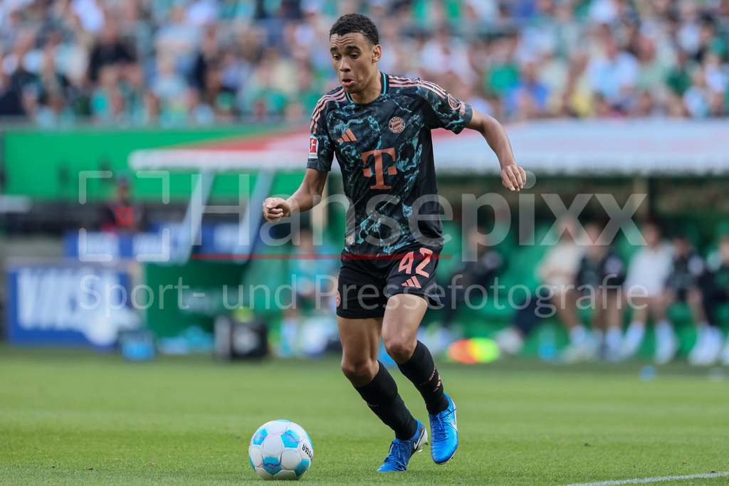 Fussball, Bundesliga, SV Werder Bremen - FC Bayern München | v.li.: Jamal Musiala (FC Bayern München, 42) am Ball, Freisteller, Einzelbild, Ganzkörper, Aktion, Action, Spielszene, DIE DFL-RICHTLINIEN UNTERSAGEN JEGLICHE NUTZUNG VON FOTOS ALS SEQUENZBILDER UND/ODER VIDEOÄHNLICHE FOTOSTRECKEN. DFL REGULATIONS PROHIBIT ANY USE OF PHOTOGRAPHS AS IMAGE SEQUENCES AND/OR QUASI-VIDEO.