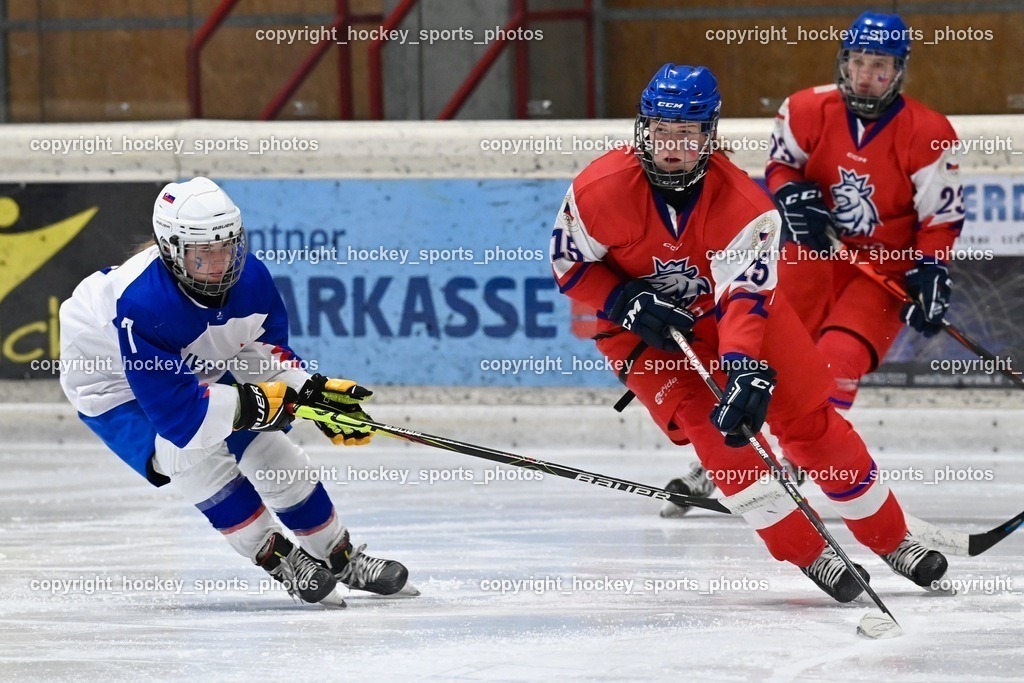 BST_5586 | hockey sports photos, Pressefotos, Sportfotos, hockey247, win 2day icehockeyleague, Handball Austria, Floorball Austria, ÖVV, Kärntner Eishockeyverband, KEHV, KFV, Kärntner Fussballverband, Österreichischer Volleyballverband, Alps Hockey League, ÖFB, 