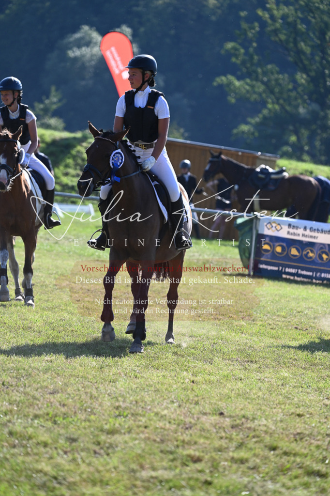 DSC_5388 | Pferde- und Turnierfotografie in Westsachsen. Pferdeportraits, Auftragszeichnungen und intuitive Kunst.