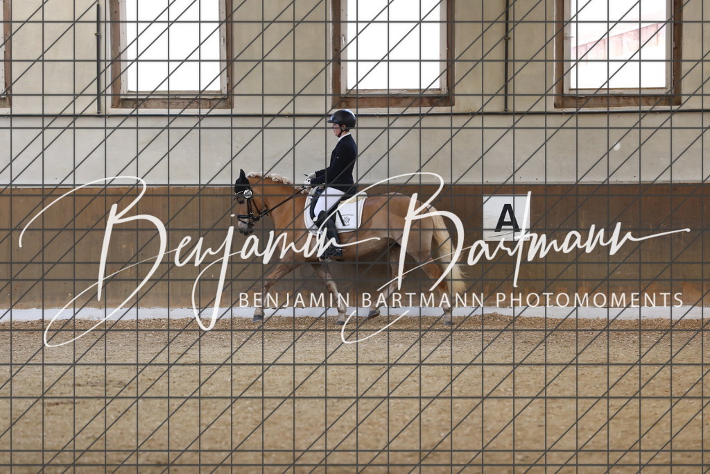 AZ2A8047 | Benjamin Bartmann Photomoments