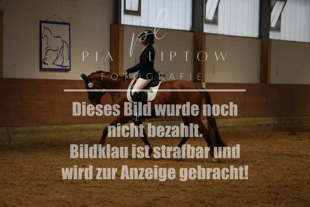 IMGM0492 | pl-fotografie