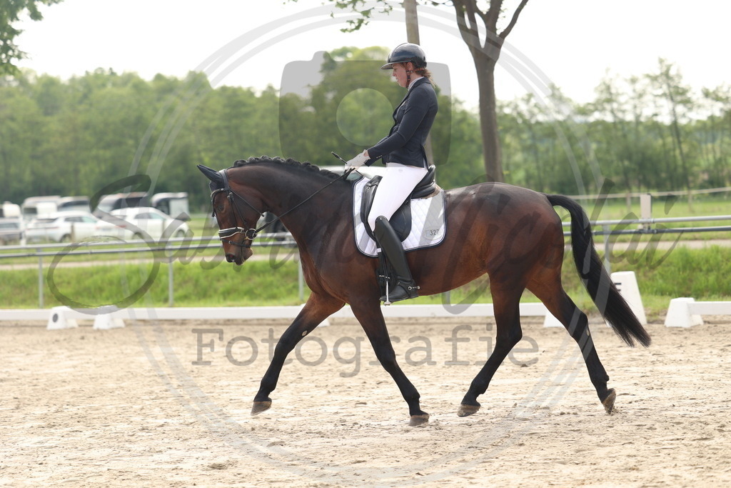 994A6344 | sabrinanicolaifotografie - Realisiert mit Pictrs.com