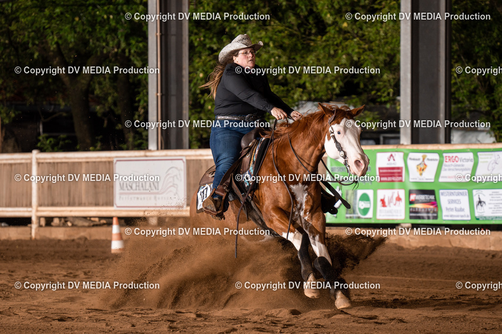 Erbach Tag 3-1013 | dv-media-shop - Realisiert mit Pictrs.com