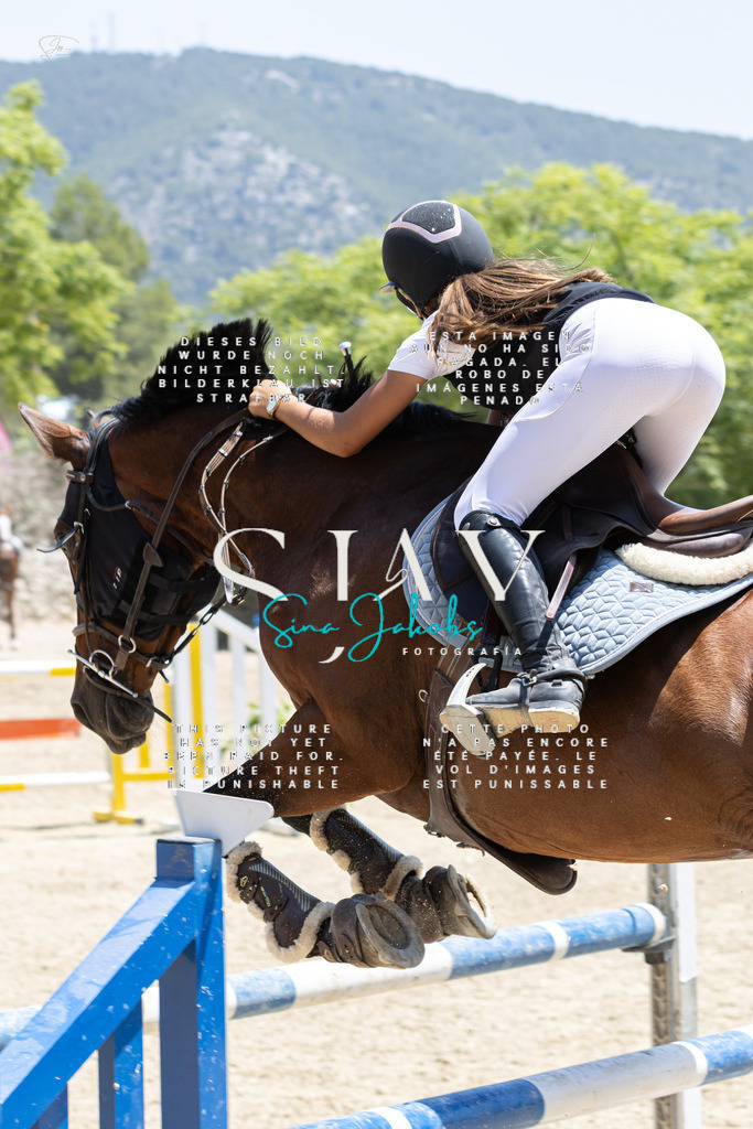 IMG_7526 | s-jay-photography - Realisiert mit Pictrs.com