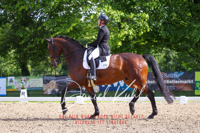 DKP41494 | Turnierfotos kaufen im Webshop von Daniel Kuhl Photography – entdecke professionelle Reitsportfotos aus Turnieren & Events. Hochwertige Turnierbilder online bestellen & sichern. Jetzt Fotos von Reitsportturnieren kaufen!