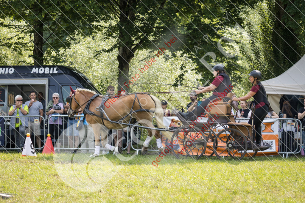 IMG_8534 | Sport-, Event- und Tierfotos in Profiqualität. Einfach auswählen, bestellen und herunterladen. Dein Moment – perfekt festgehalten.