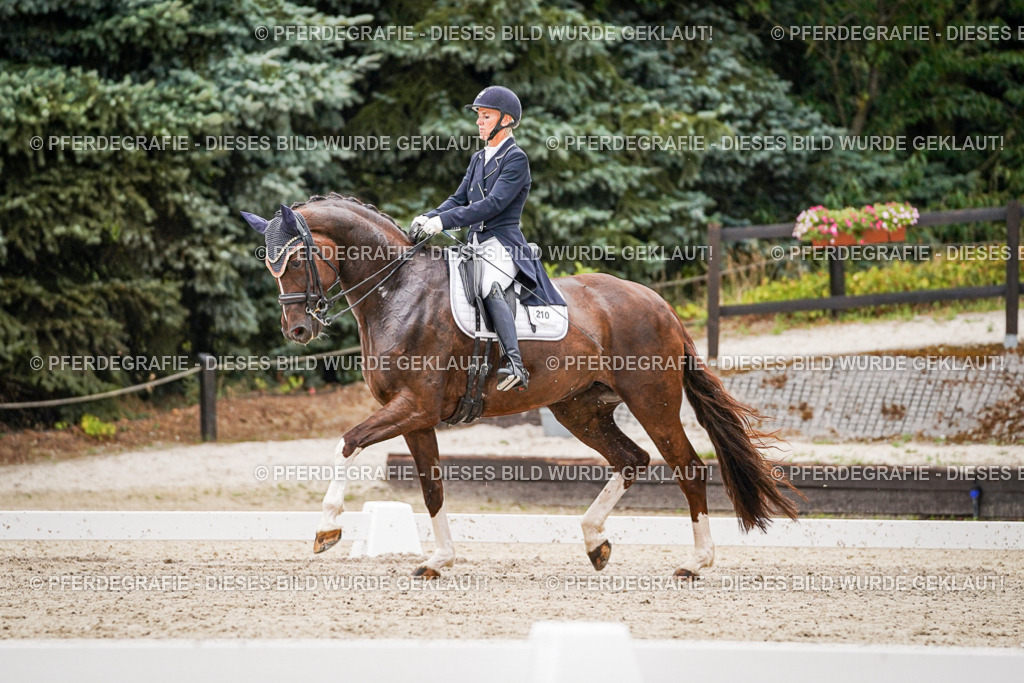 DSC07773 | Pferdegrafie