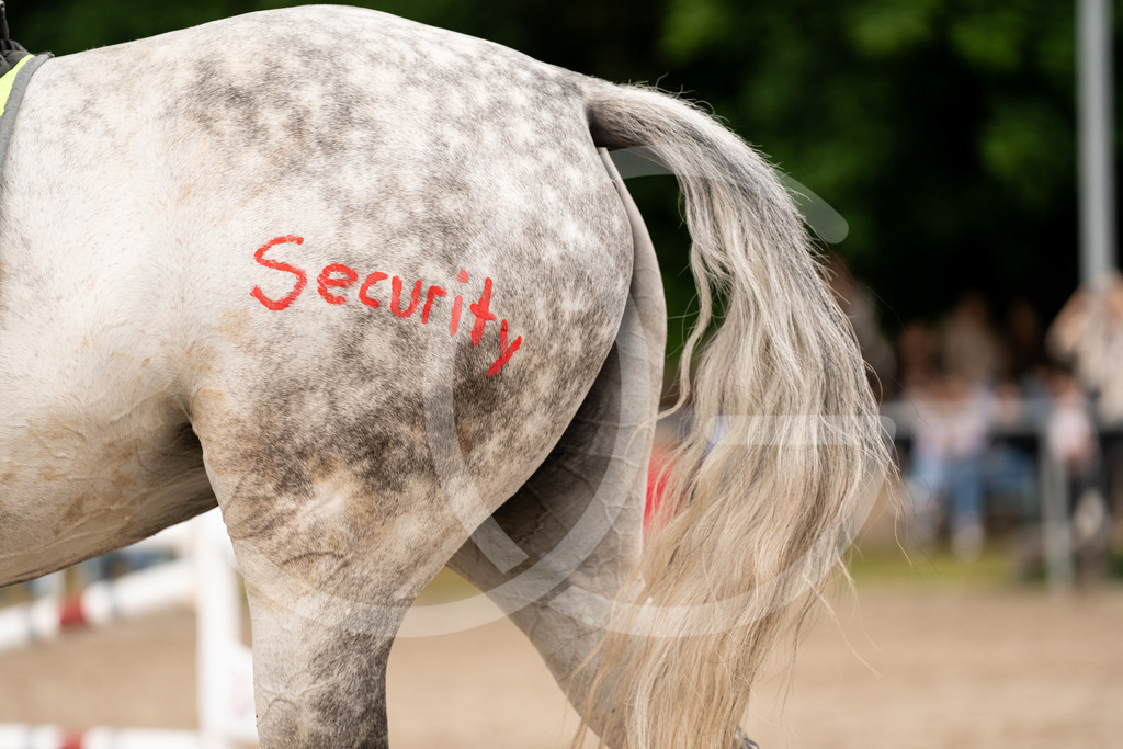 DSC08974 | Carolin Gieschke