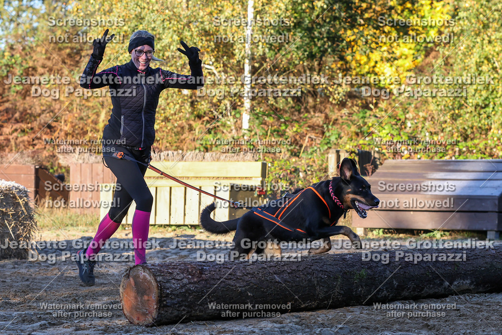 Dog Paparazzi - Strongdog 10-25-732 | Dog Paparazzi Jeanette Grottendiek Fotografie & Videografie - Realisiert mit Pictrs.com