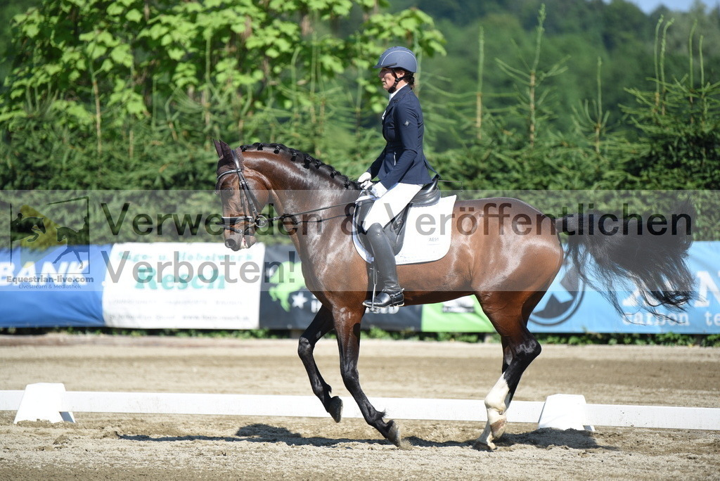 DSC_7771 | equestrian-live-com