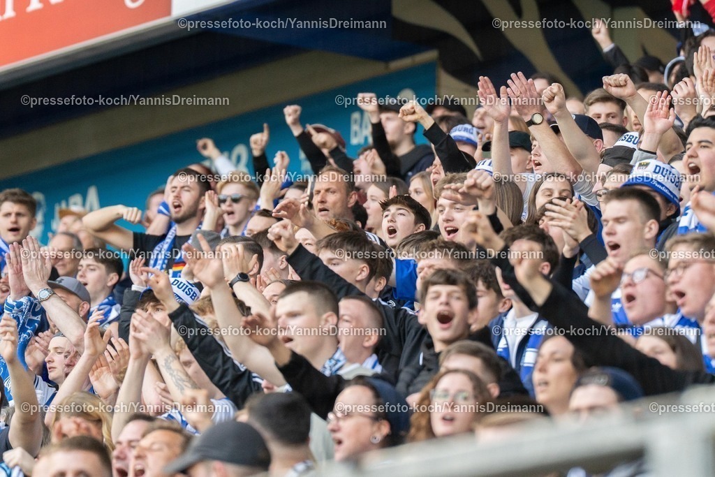 xYDR22032501103 | 22.03.2025, xydrx, Fußball, MSV Duisburg - SC Union Nettetal, Niederrheinpokal Halbfinale, Schauinsland-Reisen Arena: MSV Fans freuen sich über den Sieg, jubelnd, strecken die Fäuste hoch