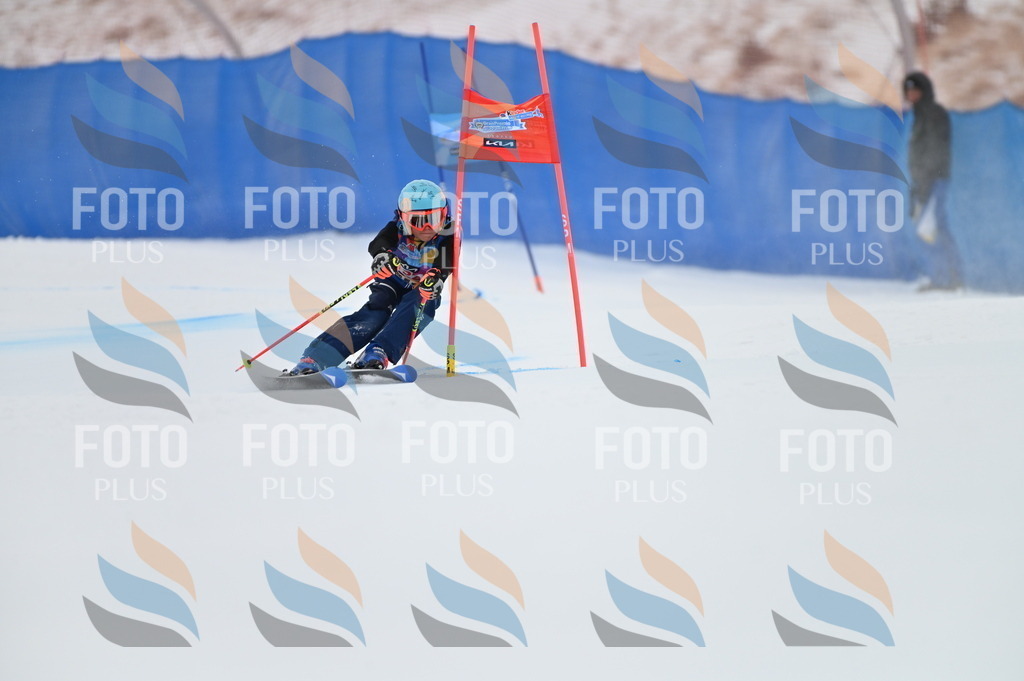 BGV_9931 | holidayphoto