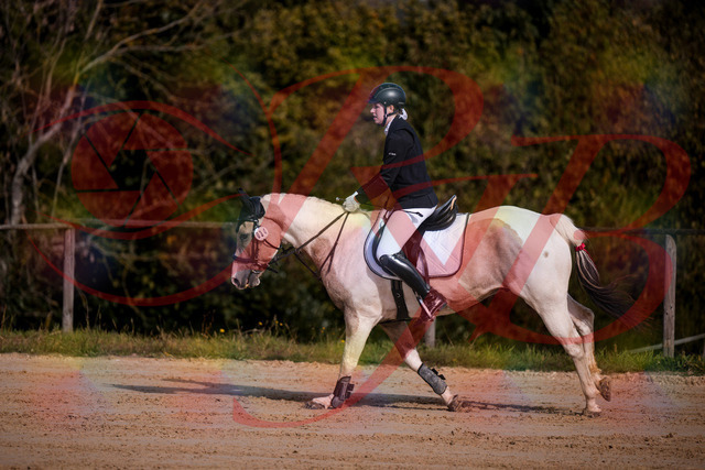 2026_10_03_Siefer-Hof_144251_Z81_16153692 | Professionelle Reitsport-, Turnier- und Eventfotografie von Robert Broda. Galerien mit ausgewählten und bearbeiteten Bildern direkt online ansehen und bestellen.