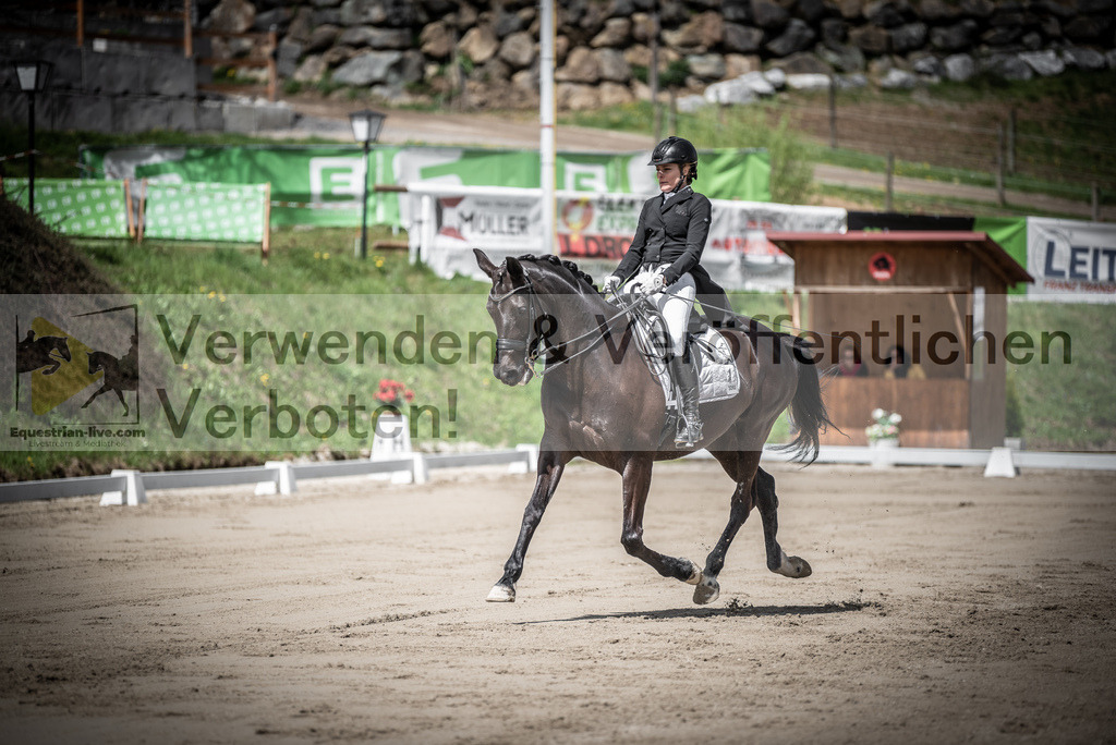 DSC_1651 | equestrian-live-com