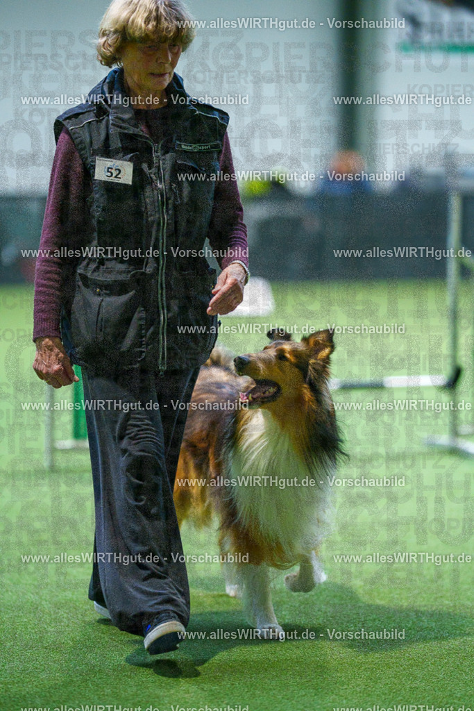 7R502118 | Professionelle Tierfotografie in Mönchengladbach von Daniel Wirth (allesWIRTHgut). Liebevolle & natürliche Bilder von Hunden & Katzen für unvergessliche Erinnerungen.