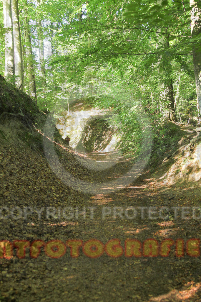 230917_1111_EV4_8109 | Sportfotografie im Rhein-Sieg Kreis, Köln, Bonn, NRW, Rheinland Pfalz, Hessen, etc. Unser Tätigkeitsfeld umfasst den Laufsport vom Volkslauf über den Marathon, Duathlon, Triathon bis zum Ultralauf wie Kölnpfad Ultra oder Schindertrail.