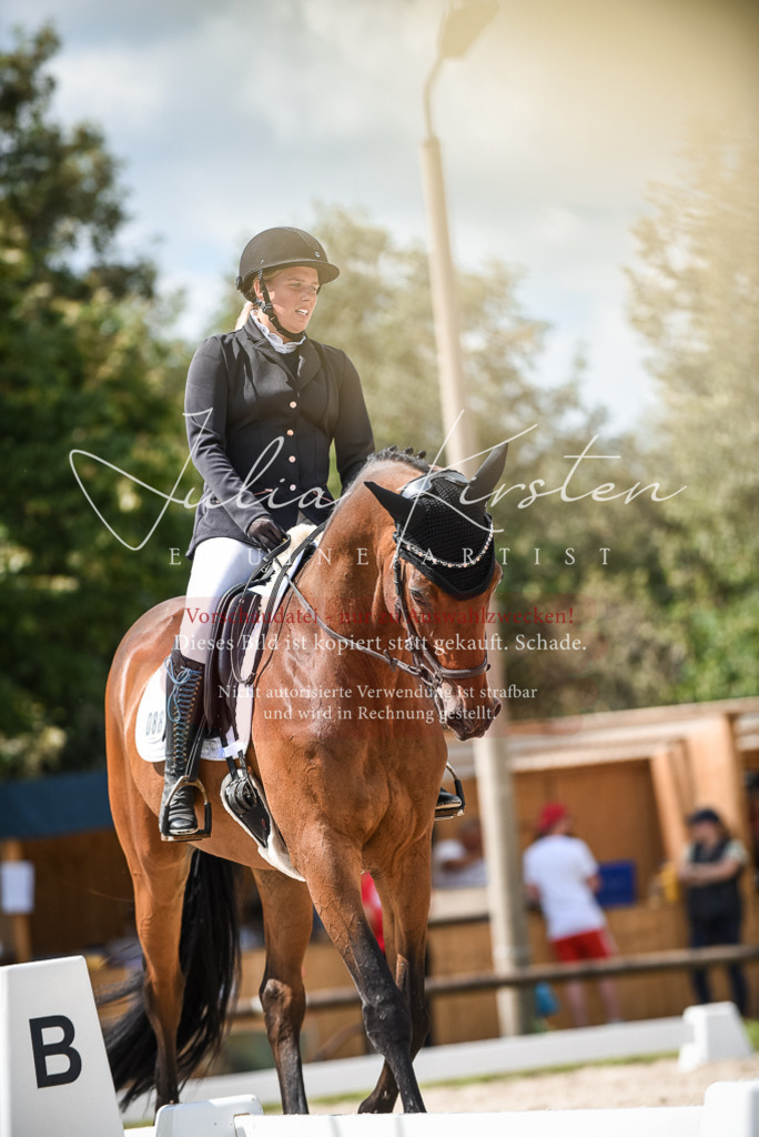 DSC_9029 | Pferde- und Turnierfotografie in Westsachsen. Pferdeportraits, Auftragszeichnungen und intuitive Kunst.