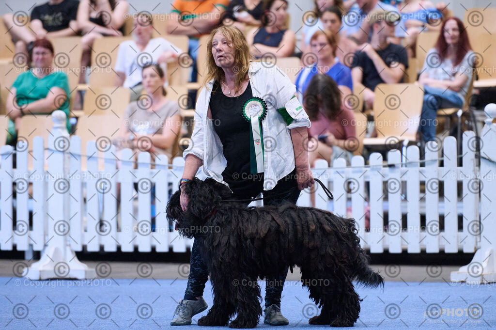 202406_ÖKV-IHA-Tulln24_DSC_3794 | proPHOTO - Realisiert mit Pictrs.com