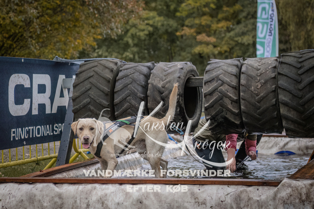 1659_ZZ94578 | kk-dogfotos