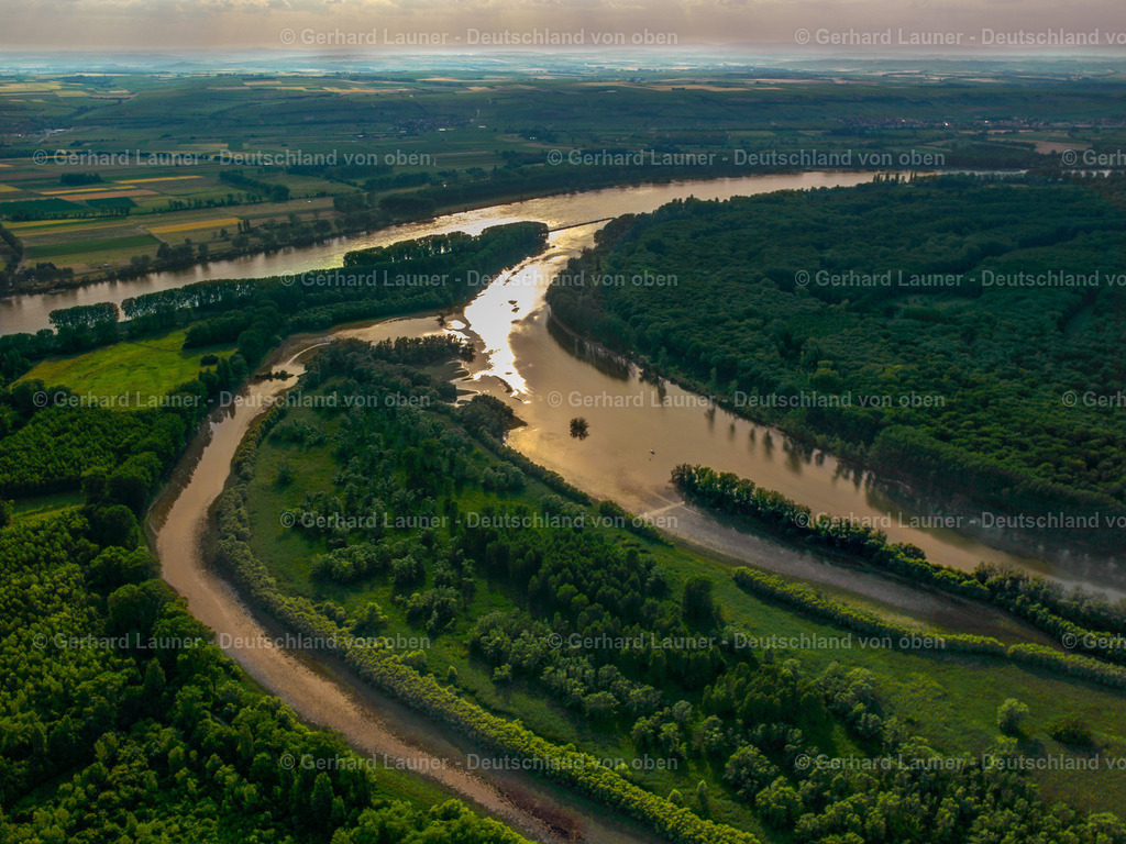 7000716 | Rhein bei Stockstadt