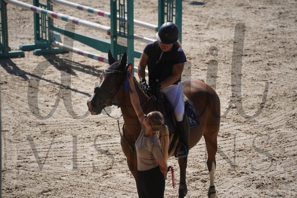 tgbhsonntag (880) | d.tail Visions - Shop - Realisiert mit Pictrs.com