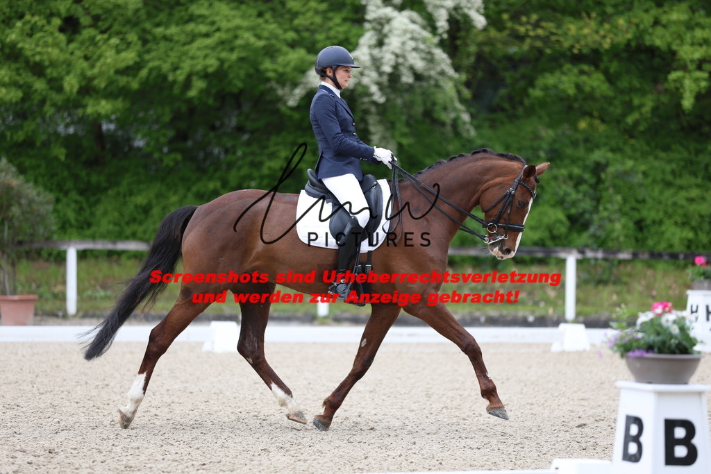 A40A0584 | lmwpictures - Realisiert mit Pictrs.com