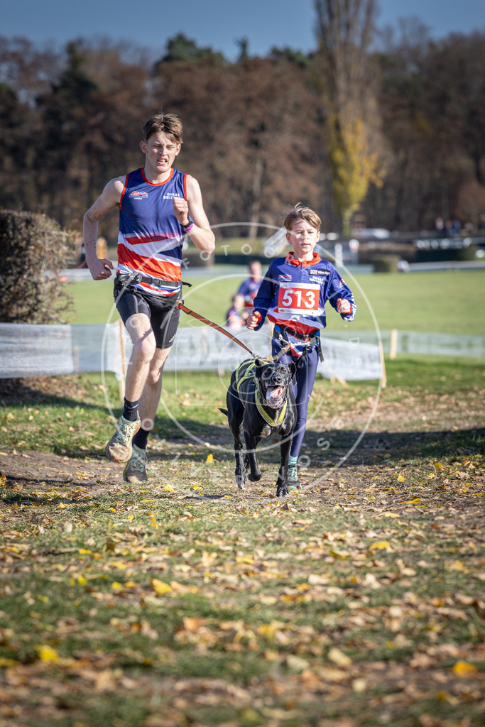 CaniXpix_DV3A7969 | Hundefotografie, Tierfotograf, Pfotenfotografie, Fotoshooting Hund, Hunde Portrait, Hundesport, Hundeportraits, Heideshooting, Hunde, Sportfotograf, Hundefotograf, Turnierhundsport, THS,  - Realisiert mit Pictrs.com