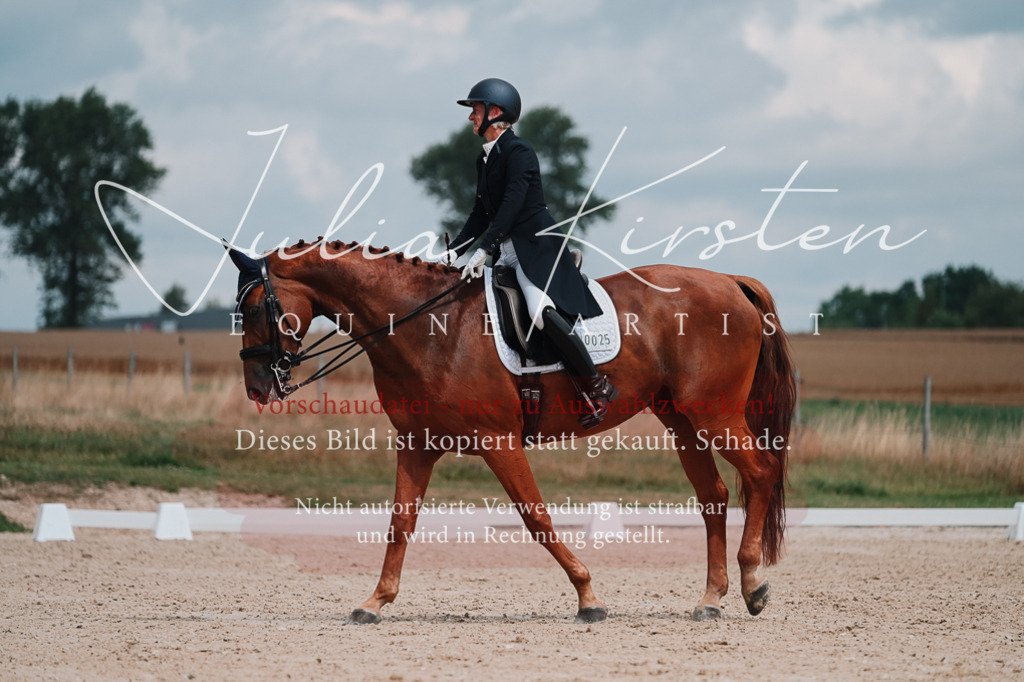DSC_4241 | Pferde- und Turnierfotografie in Westsachsen. Pferdeportraits, Auftragszeichnungen und intuitive Kunst.