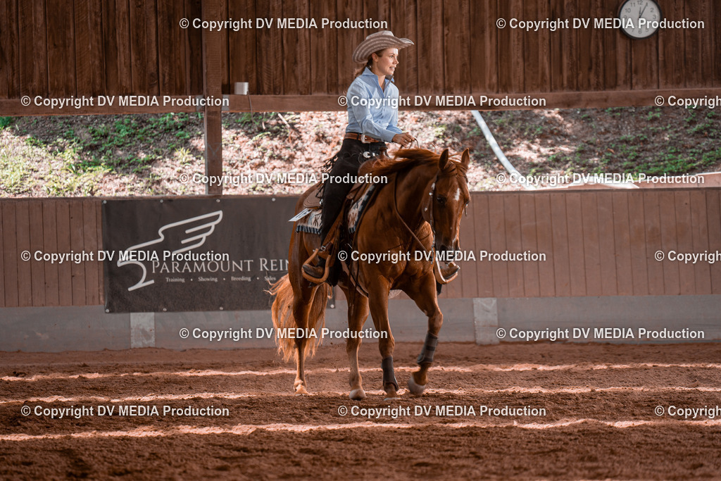 NE100514 | dv-media-shop - Realisiert mit Pictrs.com