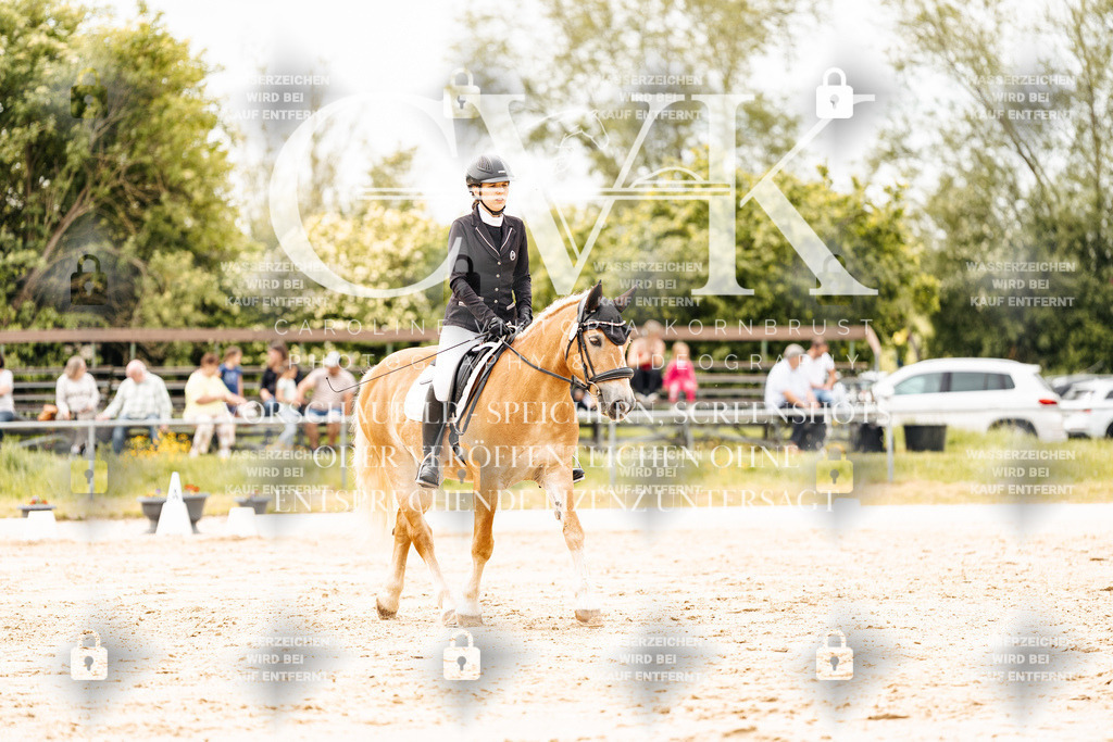 CK902921 | Turnierfotografie Pferdefotografie Trier Rheinland-Pfalz Pferdesport Reitsport Tierfotografie Sportfotografie Pferdevideo Pferdevideografie Equestrianvideography equestrianphotography  - Realisiert mit Pictrs.com