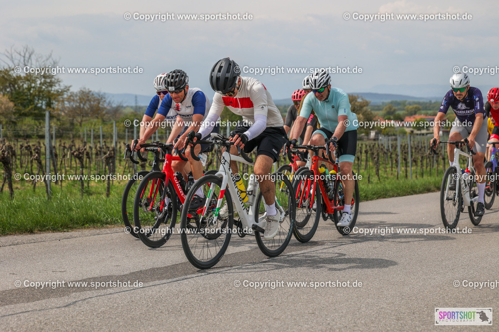 6R3A1388 | Neusiedlersee Radmarathon #neusiedlerseeradmarathon #neusiedlersee #nrm26 #yourpictrs #sportshot_your_pictrs