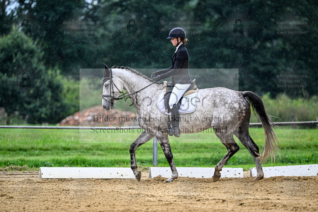 Reitturnier Hasbergen | Entdecke hochwertige Reitturnierfotos von Foto Oger. Professionell, emotional und authentisch – jetzt Lieblingsmomente im Shop bestellen. - Realisiert mit Pictrs.com