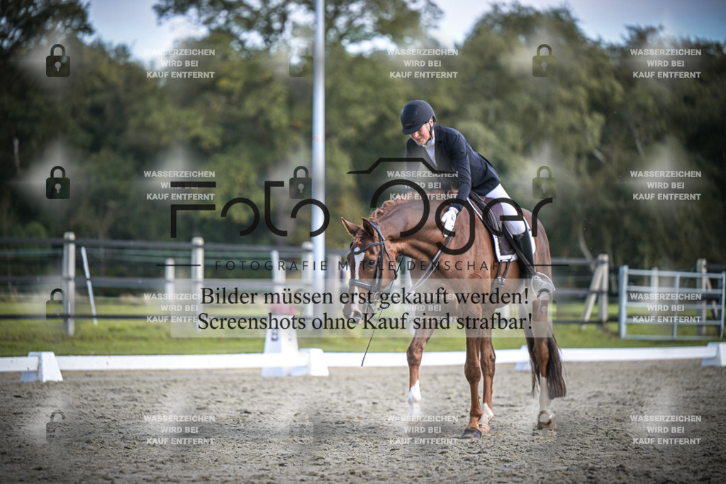 DOS_3857 | Entdecke hochwertige Reitturnierfotos von Foto Oger. Professionell, emotional und authentisch – jetzt Lieblingsmomente im Shop bestellen.Deutschlandweite Turnierfotografie. - Realisiert mit Pictrs.com