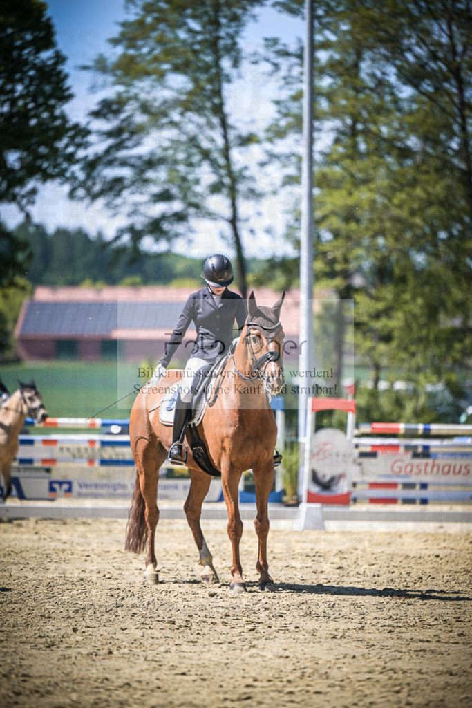 DOS_9465 | Entdecke hochwertige Reitturnierfotos von Foto Oger. Professionell, emotional und authentisch – jetzt Lieblingsmomente im Shop bestellen.Deutschlandweite Turnierfotografie. - Realisiert mit Pictrs.com