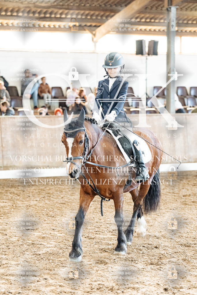 CK900365 | Turnierfotografie Pferdefotografie Trier Rheinland-Pfalz Pferdesport Reitsport Tierfotografie Sportfotografie Pferdevideo Pferdevideografie Equestrianvideography equestrianphotography  - Realized with Pictrs.com