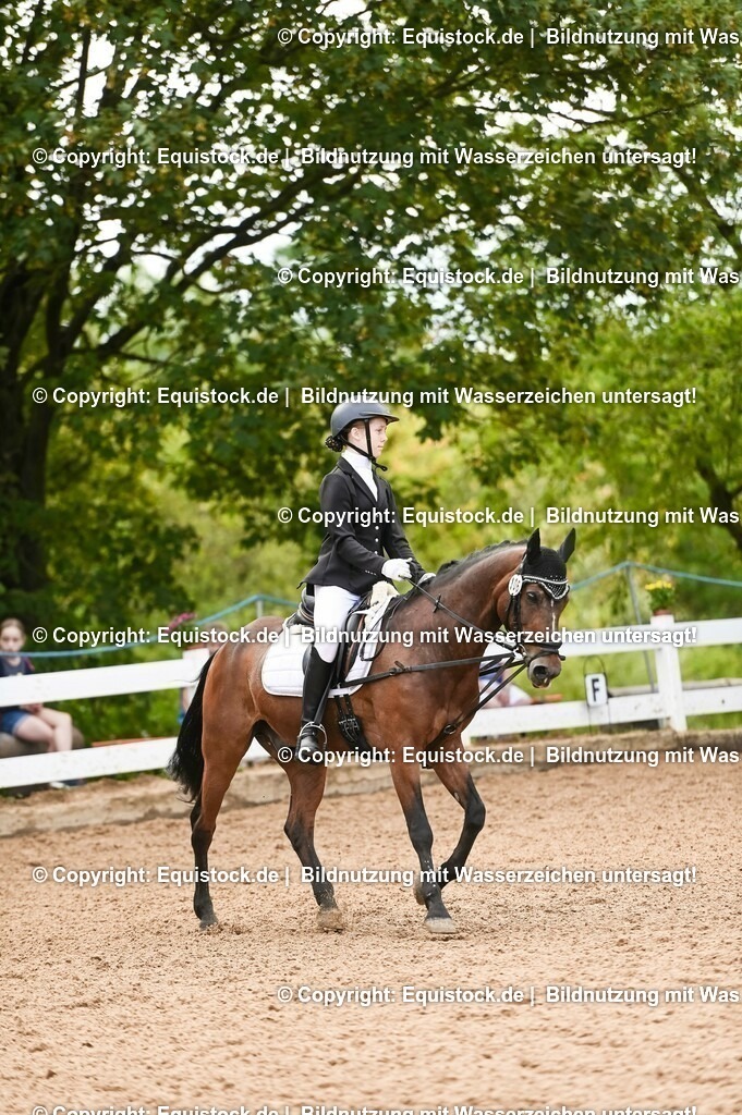 20230716_10-2_Reiter-WB Schritt - Trab - Galopp_0122 | equistock