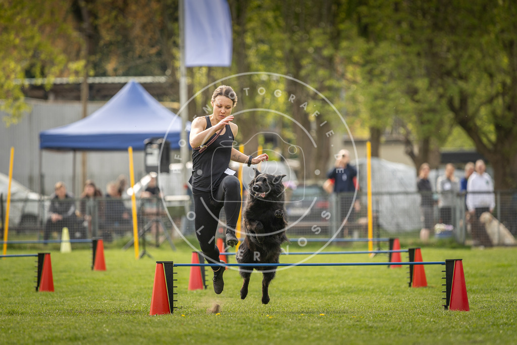 Pfotenfotografie_DV3A5752 | Hundefotografie, Tierfotograf, Pfotenfotografie, Fotoshooting Hund, Hunde Portrait, Hundesport, Hundeportraits, Heideshooting, Hunde, Sportfotograf, Hundefotograf, Turnierhundsport, THS,  - Realisiert mit Pictrs.com