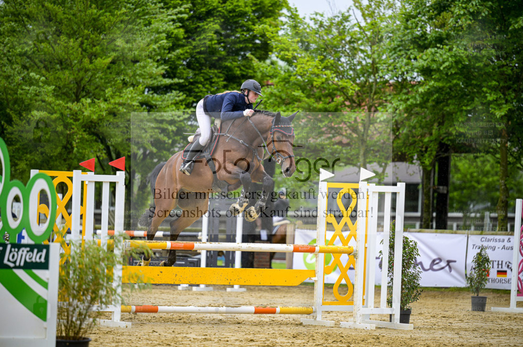 Reitturnier Lienen | Entdecke hochwertige Reitturnierfotos von Foto Oger. Professionell, emotional und authentisch – jetzt Lieblingsmomente im Shop bestellen. - Realisiert mit Pictrs.com