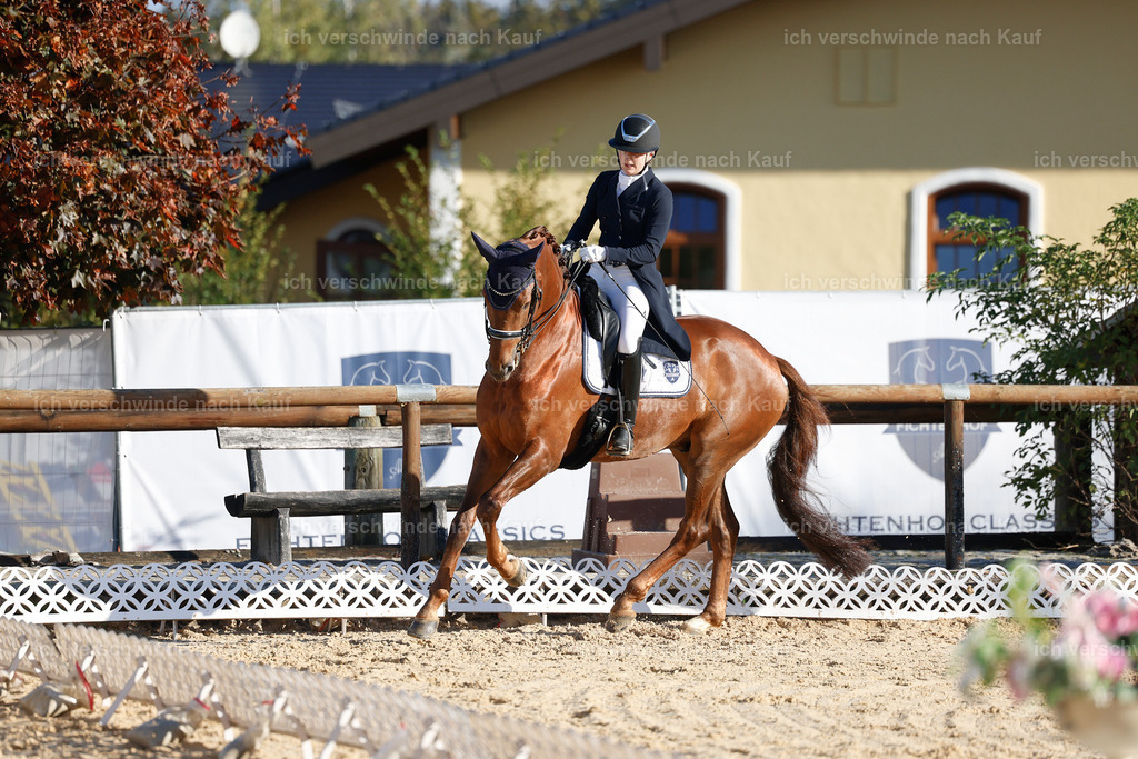 09_1-143-DRESSUR  S_  -StoibPH-5553 | working equitationturnier fotograf videograf stoibphotography marixx film working equitation deutschland reitsport turnierfotografie eventfotografie equestrian events