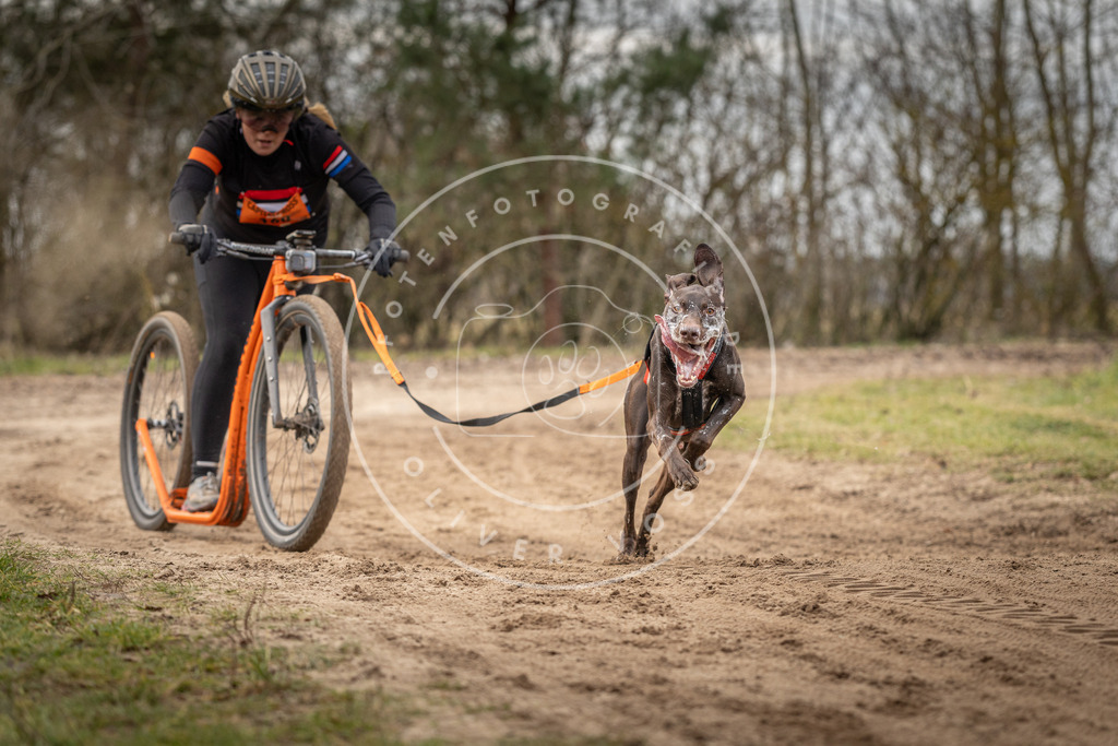 Pfotenfotografie_DV3A9352 | Hundefotografie, Tierfotograf, Pfotenfotografie, Fotoshooting Hund, Hunde Portrait, Hundesport, Hundeportraits, Heideshooting, Hunde, Sportfotograf, Hundefotograf, Turnierhundsport, THS,  - Realisiert mit Pictrs.com