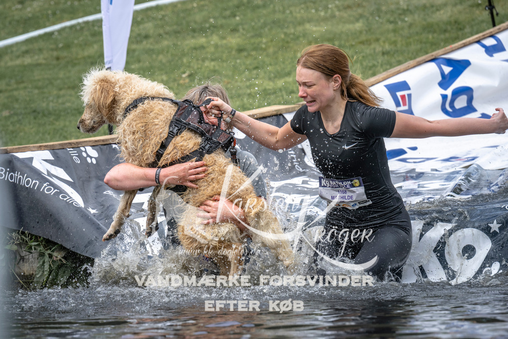 1140_ZZ93454 | kk-dogfotos