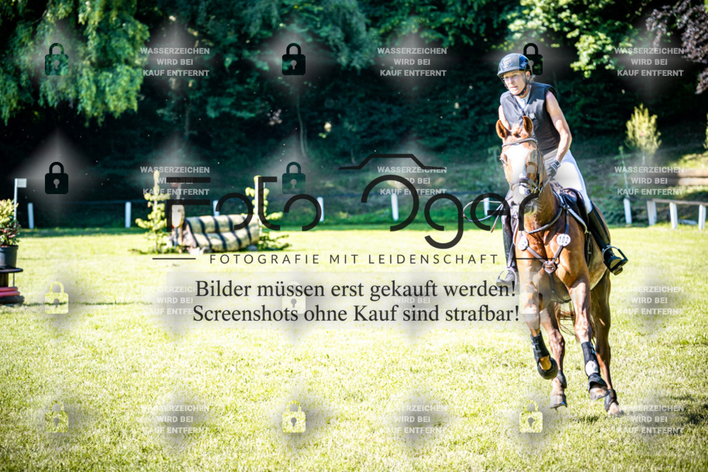 2026-05 - Melle Oldendorf-3-0056 | Entdecke hochwertige Reitturnierfotos von Foto Oger. Professionell, emotional und authentisch – jetzt Lieblingsmomente im Shop bestellen.Deutschlandweite Turnierfotografie. - Realisiert mit Pictrs.com