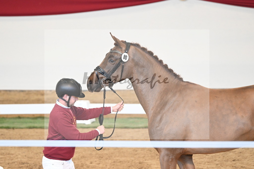 Kat.-Nr. 80 v. Va Bene_Klakow_3261251 | hf-fotografie - Realisiert mit Pictrs.com