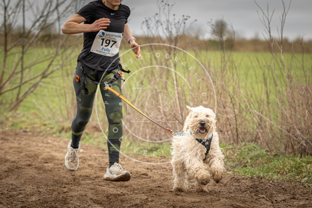 DV3A2385 | Hundefotografie, Tierfotograf, Pfotenfotografie, Fotoshooting Hund, Hunde Portrait, Hundesport, Hundeportraits, Heideshooting, Hunde, Sportfotograf, Hundefotograf, Turnierhundsport, THS,  - Realisiert mit Pictrs.com