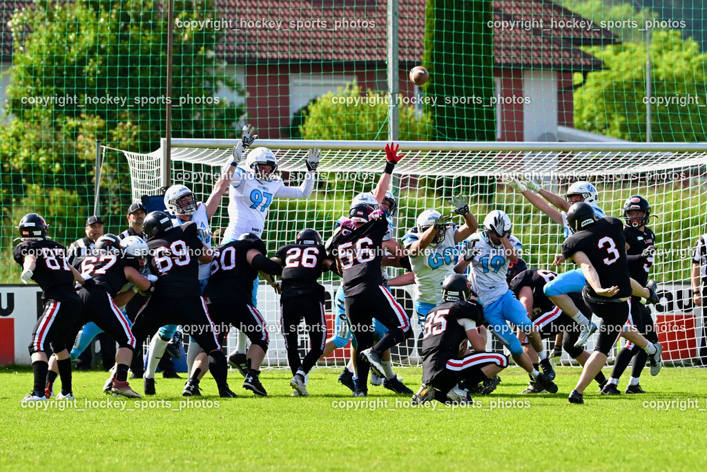 Carinthian Lions vs. Styrian Bears | Carinthian Lions vs. Styrian Bears, Carinthian Lions vs. Styrian Bears am 20.05.2024 in Klagenfurt (ASV Sportplatz), Austria, (Photo by Bernd Stefan)
