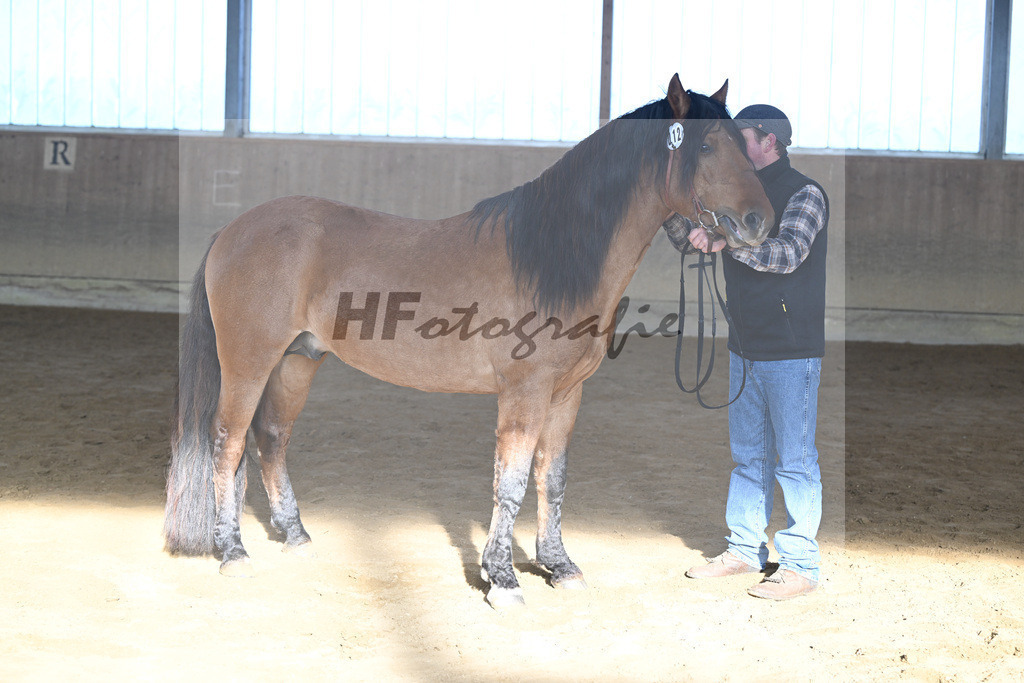 Kat-Nr. 12 Tapadero v. Tape Isidoro_Seefried_49250450 | hf-fotografie - Realisiert mit Pictrs.com