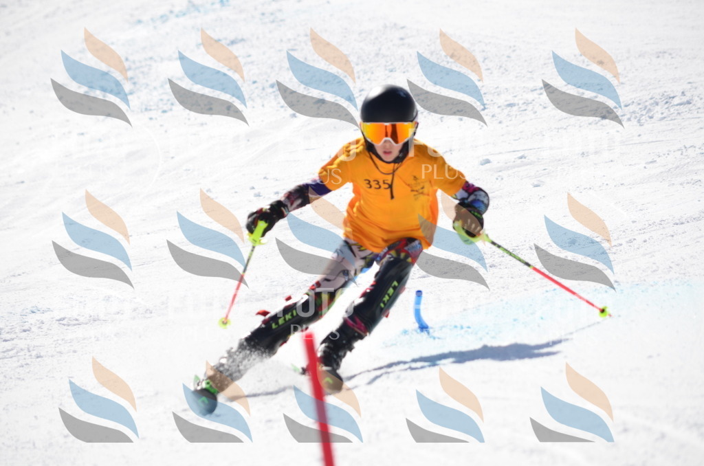 C9691 | holidayphoto