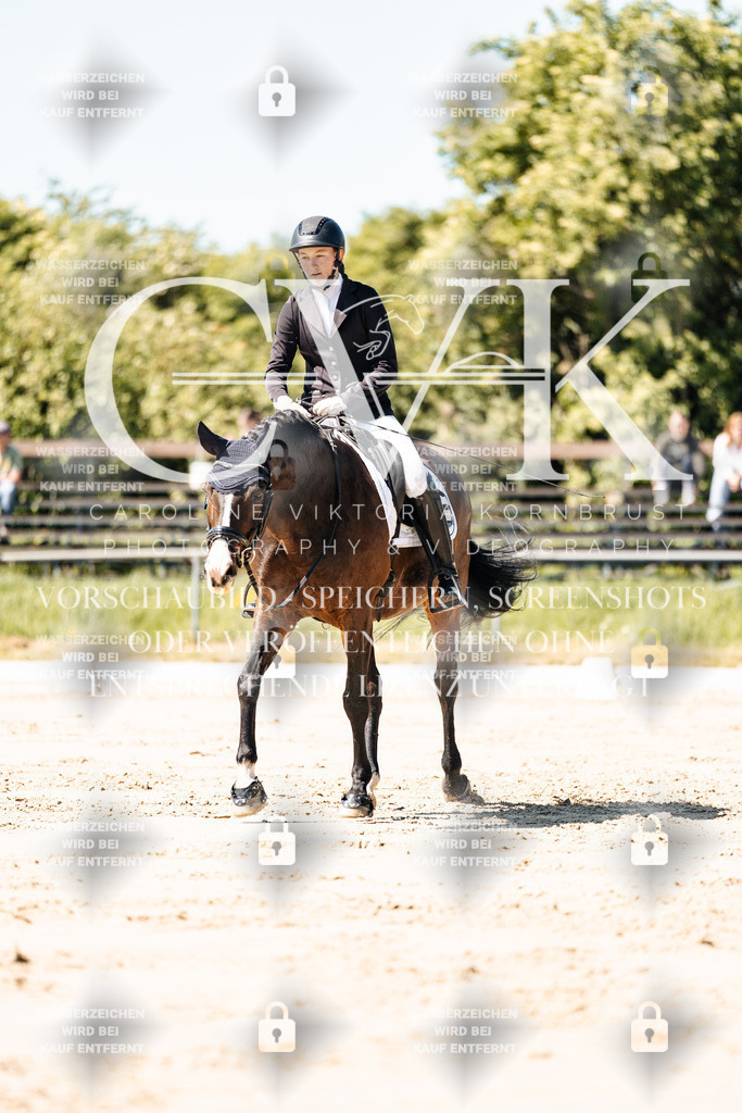 CK905114 | Turnierfotografie Pferdefotografie Trier Rheinland-Pfalz Pferdesport Reitsport Tierfotografie Sportfotografie Pferdevideo Pferdevideografie Equestrianvideography equestrianphotography  - Realisiert mit Pictrs.com