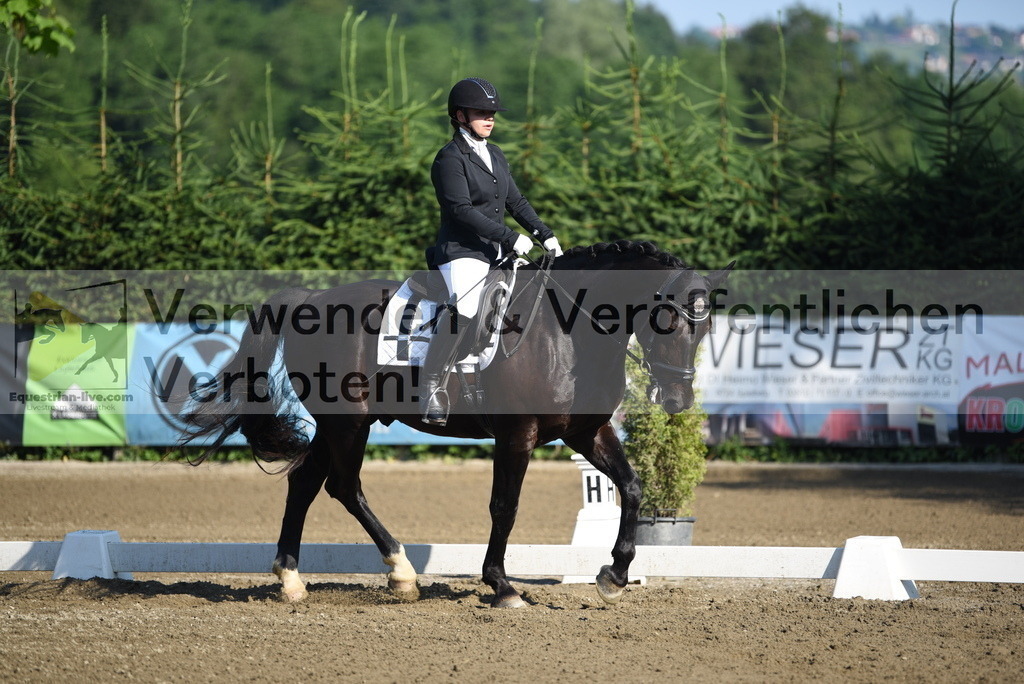 DSC_6913 | equestrian-live-com